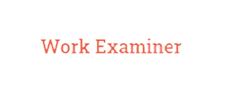 Work Examiner